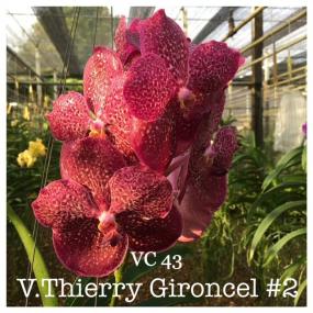 VC 43 - V.THIERRY GIRONCEL 2
